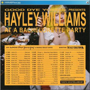 Unique Presale Codes for Hayley Williams At A Bachelorette Party