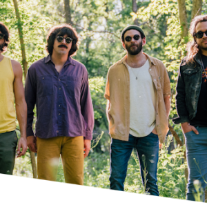 Unique Presale Codes for Goose Tour